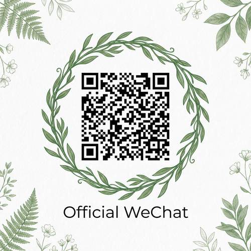 网红主播
